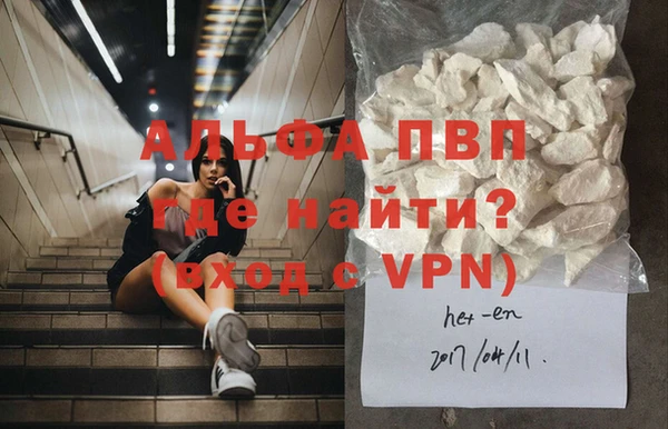 мяу мяу мука Покачи