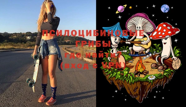 бошки Армянск