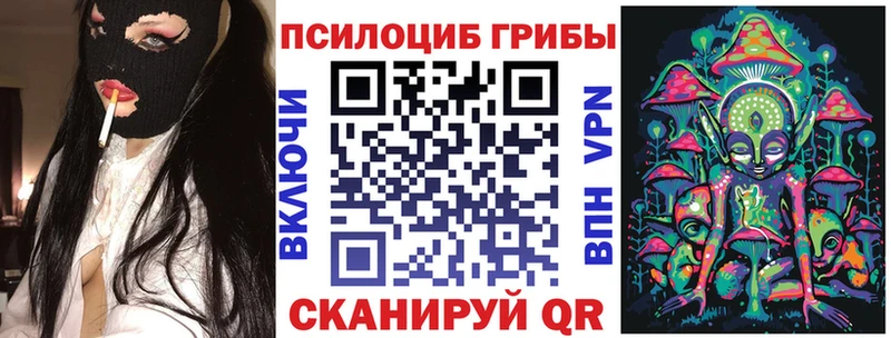 где купить наркоту Тайга Псилоцибиновые грибы мицелий